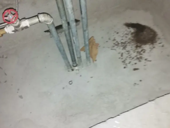 河源市卫生间测漏水价格明细