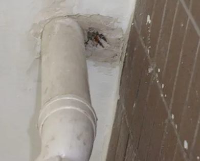 河源市漏水检测哪家好